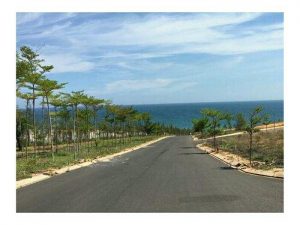 Cho thuê đất Vũng Tàu